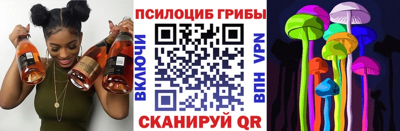 Галлюциногенные грибы MAGIC MUSHROOMS Вытегра